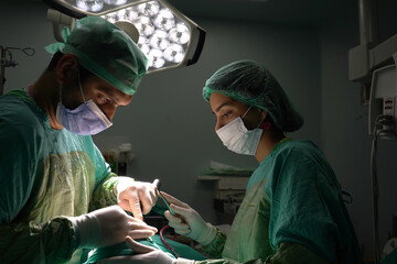rhinoplasty surgery, defects in the shape of the nose in the female patient. Surgical intervention...