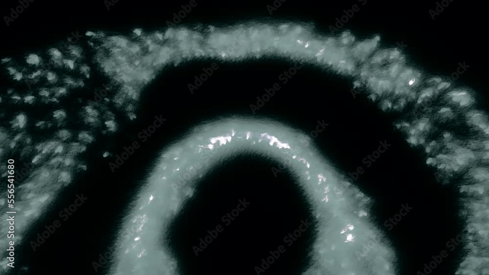 Poster dark background with moving 3d animation. motion. white circles made of bubbles in animation that tw