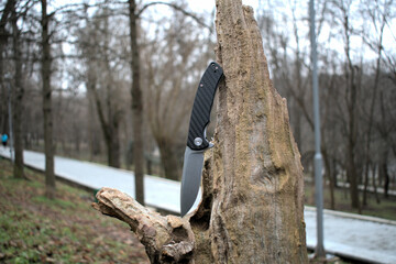 Folding knife beautiful design cutting silver edge black carbone fiber handle dry wood background