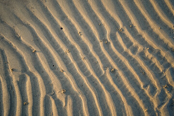 Sandwellen mit Wattwurmhaufen