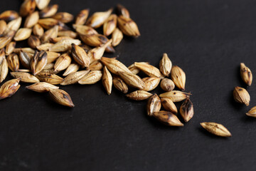 roasted barley grains. Concept of ingredients, cereals and food.