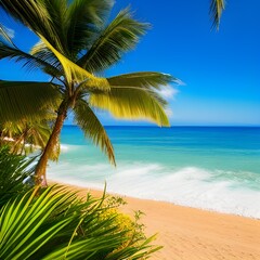 Naklejka na ściany i meble Palm beaches