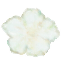 Watercolor illustration of beautiful tropical Flower. Idea for collage, set, cartoon, books, icon, stickers, children’s art, background, print, poster, banner details