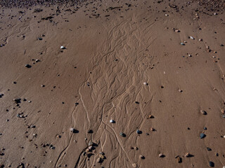 Close-up shot of a sea coast sand with textured lines of water in sand. Beautiful design in sand in sunlight