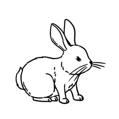 Vector coloring book illustration. Cute Hand Drawn Bunny isolatet on wite background