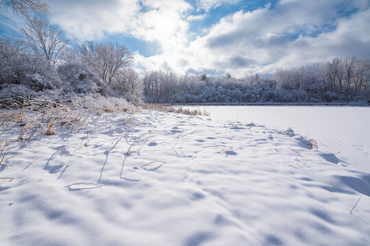 snow covered woodlands surrounding pond at salem hills park in inver grove heights minnesota