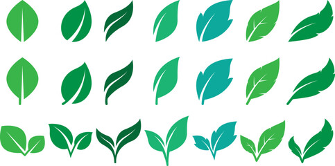 Set of leaves with 21 variations. Vector graphic leaves.