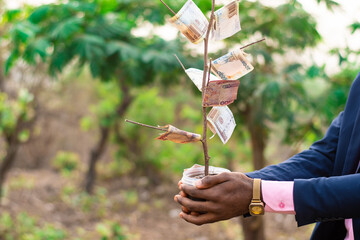 african businessman holding a money tree outdoor