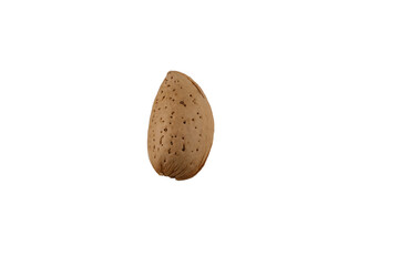 almond in shell isolated 
