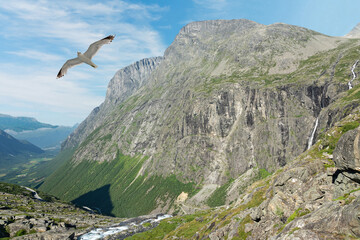 Norway - mountain natural landscape view