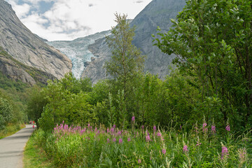 Norway - August 30, 2022: Glacier Briksdal in National park Jostedalsbreen, mountain landscape with hiking road.