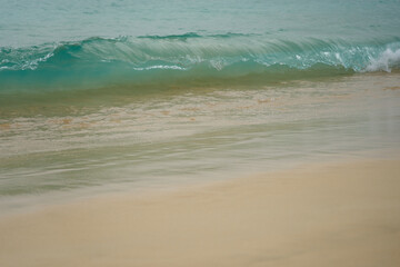 Fototapeta na wymiar Tropical sandy beach with clear water as a backdrop.