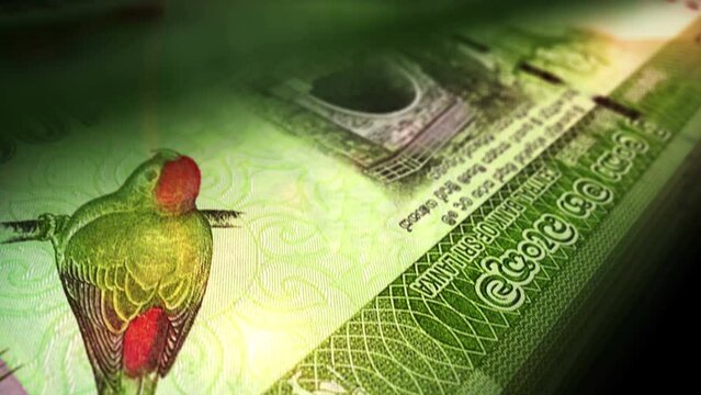 Sri Lanka money Sri Lankan Rupee money counting. LKR banknotes. Fast cash note count macro loop. Business, finance and economy. Loopable and seamless concept.