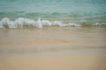 Tropical sandy beach with clear water as a backdrop.
