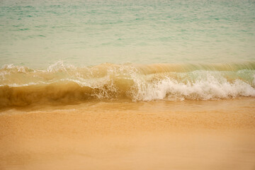 Tropical sandy beach with clear water as a backdrop.