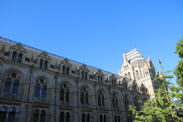Fototapeta premium The Natural History Museum in London, England United Kingdom