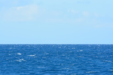 Obraz premium Azure Caribbean sea meets blue sky. Space for copy. 