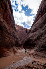  A group of three backpackers wades through the Halls Creek Narrows in the remote southern section of Capitol Reef National Park. in Utah.