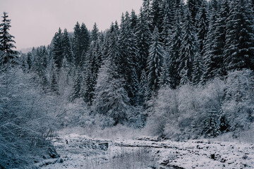 Snowy landscape river trees