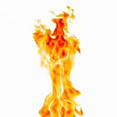 Fire flames isolated on white background