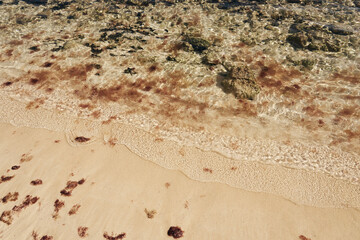 Tropical sandy beach with clear water as a backdrop.