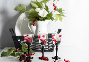 transparent gin and tonic with ice and fresh red currants and blackberries 