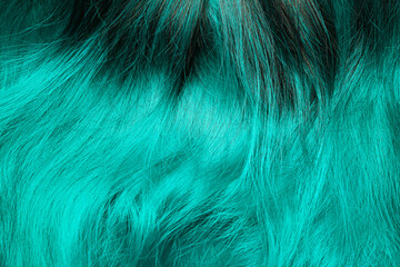 Texture of bright hair as background, closeup