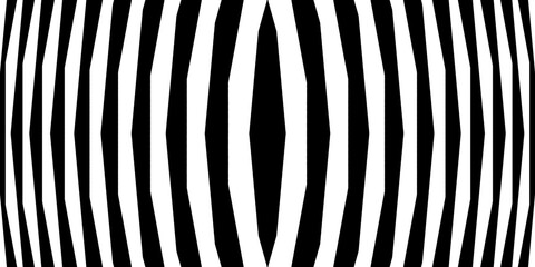 zebra skin background, texture with lines