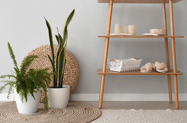 Interior of bathroom with houseplants and shelving unit
