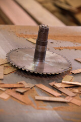 Detail of circular saw in wood industry in Brazil