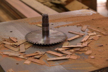 Fototapeta na wymiar Detail of circular saw in wood industry in Brazil
