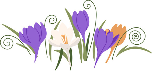 Bouquet with crocus and narcissus flat icon