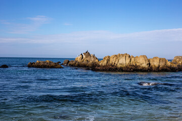 A view on the oceans with rocks