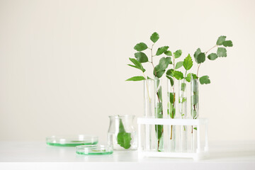 Laboratory glassware with plants on white table, space for text