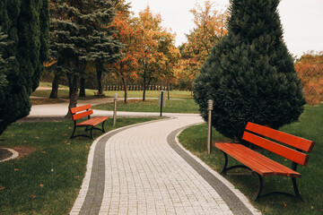 Winding pathway with beautiful bushes and benches in park