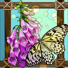 illustration of a butterfly and foxglove flowers