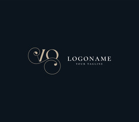 Luxury Letter VG Logo design vector template