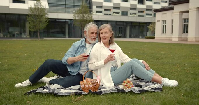 Senior age couple enjoying picnic together on meadow