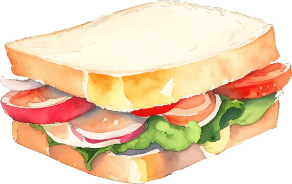 sandwich hand drawn with watercolor painting style illustration