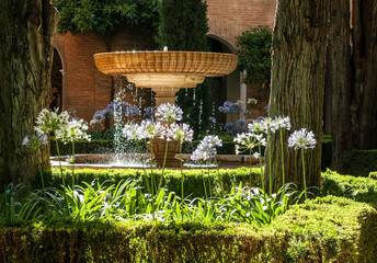 Garden with flowers and a fountain - 556583830