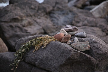 Rocks and washed up vegetation from the Lake Superior Shoreline