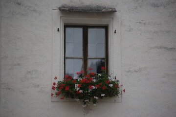 Fototapeta na wymiar A window into the beauty of Europe. A beautiful window flower box.