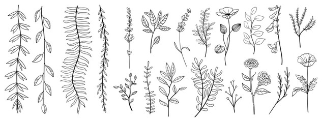set collection plants leave hand drawn vector. Drawing beautiful creeper leaves, decorative set	