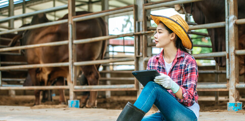 Asian young farmer woman sitting while working with tablet pc computer and cows in cowshed on dairy farm. Agriculture industry, farming, people, technology and animal husbandry concept.