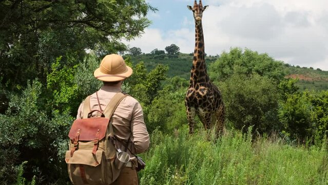 man Photographer on safari photographs a wild giraffe who eats leaves on a bush in the African savannah with red earth, in the dry season. male traveler in safari hat taking photo of giraffe