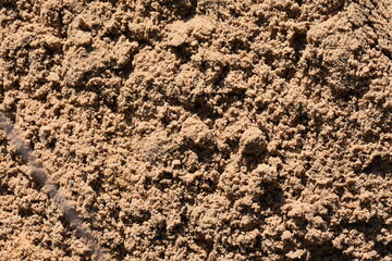 texture of the sand