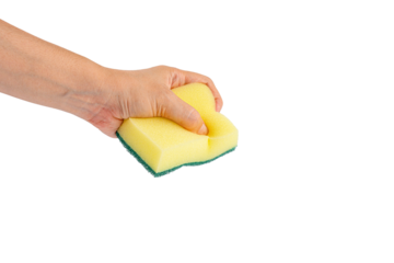 Cleaning sponge in hand isolated on transparent background
