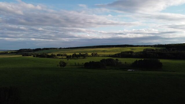 Field green grass pasture pond mountains in the evening circled