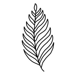 
Leaf Sketch Doodle