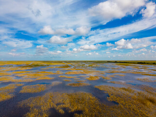 Aerial photo Florida Everglades nature landscapes